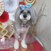 【山手店】2025年12月27日のワンちゃん達♪