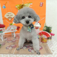 【池下店】2026年1月4日のワンちゃん達♪