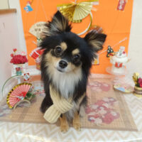 【池下店】2026年1月5日のワンちゃん達♪