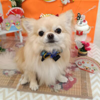 【池下店】2026年1月8日のワンちゃん達♪