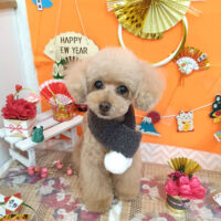 【池下店】2026年1月9日のワンちゃん達♪