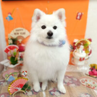 【池下店】2026年1月11日のワンちゃん達♪