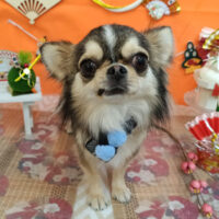 【池下店】2026年1月15日のワンちゃん達♪