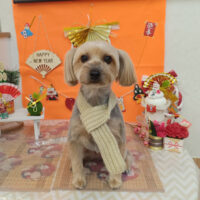 【池下店】2026年1月16日のワンちゃん達♪