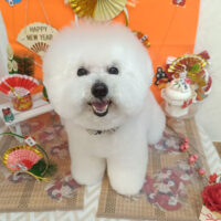 【池下店】2026年1月17日のワンちゃん達♪