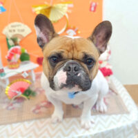 【池下店】2026年1月18日のワンちゃん達♪