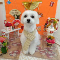 【池下店】2026年1月19日のワンちゃん達♪