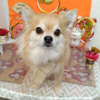 【池下店】2026年1月22日のワンちゃん達♪