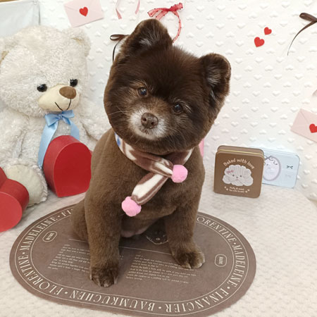 【池下店】2026年1月29日のワンちゃん達♪