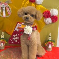 【星ヶ丘店】2026年1月9日のワンちゃん達♪