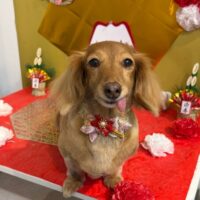 【星ヶ丘店】2026年1月23日のワンちゃん達♪