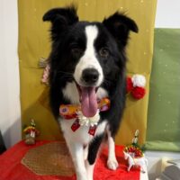 【星ヶ丘店】2026年1月24日のワンちゃん達♪