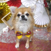 【山手店】2026年1月9日のワンちゃん達♪