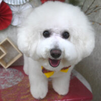 【山手店】2026年1月19日のワンちゃん達♪