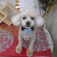 【山手店】2026年1月22日のワンちゃん達♪