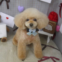 【山手店】2026年1月30日のワンちゃん達♪