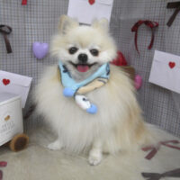 【山手店】2026年1月31日のワンちゃん達♪