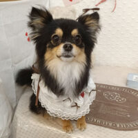 【池下店】2026年2月13日のワンちゃん達♪