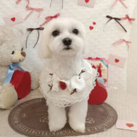 【池下店】2026年2月16日のワンちゃん達♪