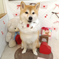 【池下店】2026年2月20日のワンちゃん達♪