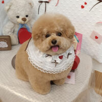 【池下店】2026年2月21日のワンちゃん達♪