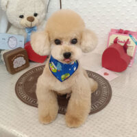 【池下店】2026年2月22日のワンちゃん達♪