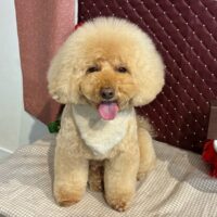 【星ヶ丘店】2026年2月19日のワンちゃん達♪