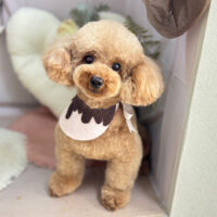 【本店】2026年2月5日のワンちゃん達♪