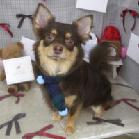 【山手店】2026年2月2日のワンちゃん達♪