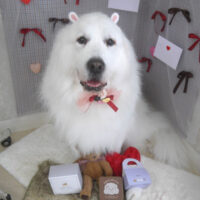 【山手店】2026年2月9日のワンちゃん達♪