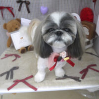 【山手店】2026年2月23日のワンちゃん達♪