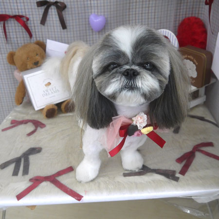 【山手店】2026年2月23日のワンちゃん達♪