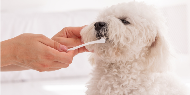 健康を守る「ケアの練習」