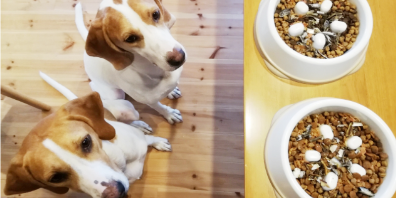 成長が見える「充実のレポート」