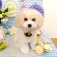 【池下店】2026年3月6日のワンちゃん達♪