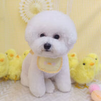 【池下店】2026年3月21日のワンちゃん達♪