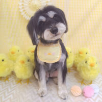 【池下店】2026年3月22日のワンちゃん達♪