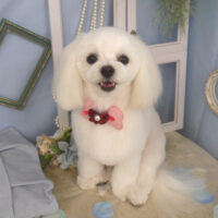 【山手店】2026年3月1日のワンちゃん達♪