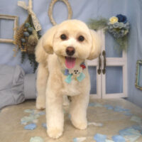 【山手店】2026年3月2日のワンちゃん達♪