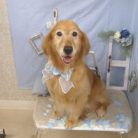 【山手店】2026年3月20日のワンちゃん達♪