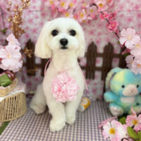 【本店】2026年4月16日のワンちゃん達♪