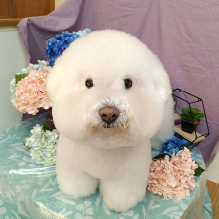【池下店】2026年5月14日のワンちゃん達♪