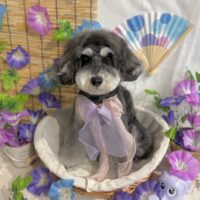 【星ヶ丘店】2026年5月23日のワンちゃん達♪