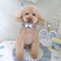 【山手店】2026年5月25日のワンちゃん達♪