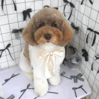【山手店】2026年7月2日のワンちゃん達♪