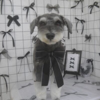 【山手店】2026年7月16日のワンちゃん達♪
