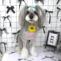 【山手店】2026年7月26日のワンちゃん達♪