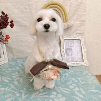 【池下店】2026年9月13日のワンちゃん達♪